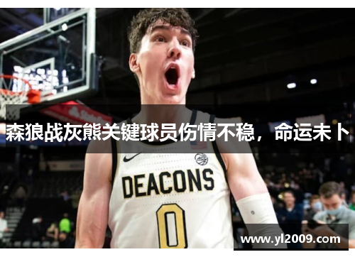 森狼战灰熊关键球员伤情不稳，命运未卜